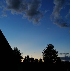 Meet your Posher, Tony